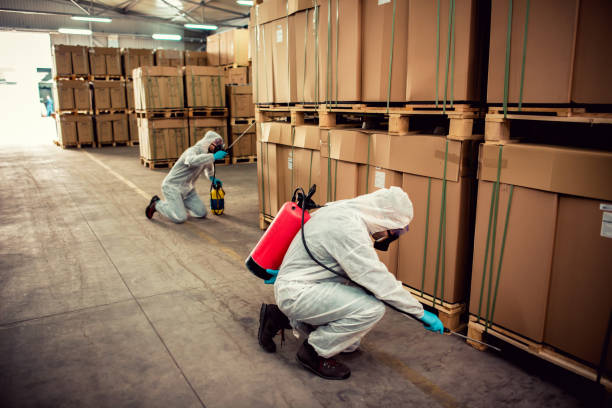 Best Ant Control Services  in Pagedale, MO