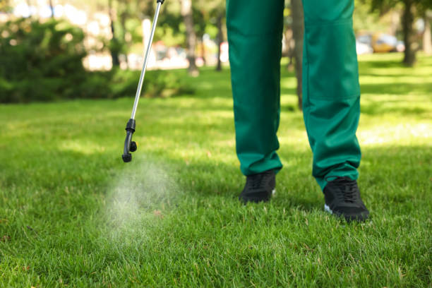 Wasp Removal Services in Pagedale, MO