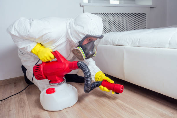 Best Exterminator Services  in Pagedale, MO
