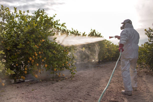 Best Cockroach Control Services  in Pagedale, MO