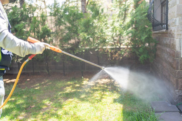 Best Bed Bug Extermination  in Pagedale, MO